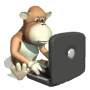 ape-with-laptop-md-wht.gif